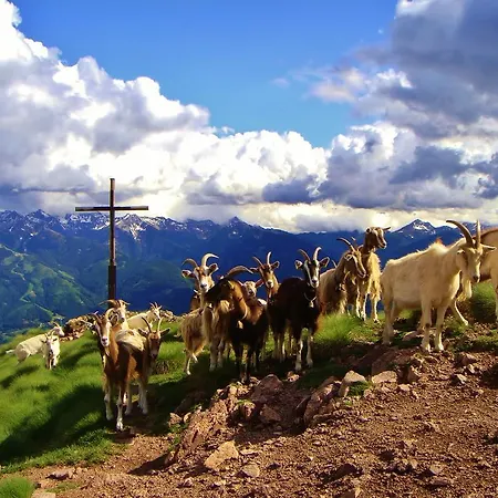 Jochgrimm - Your Dolomites Hotel 3*